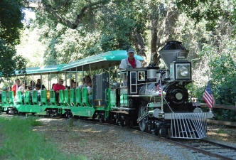 Christmas train rides