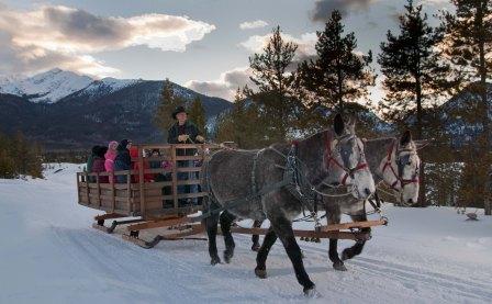 Sleigh rides at Two Below Zero in Breckinridge, Colorado